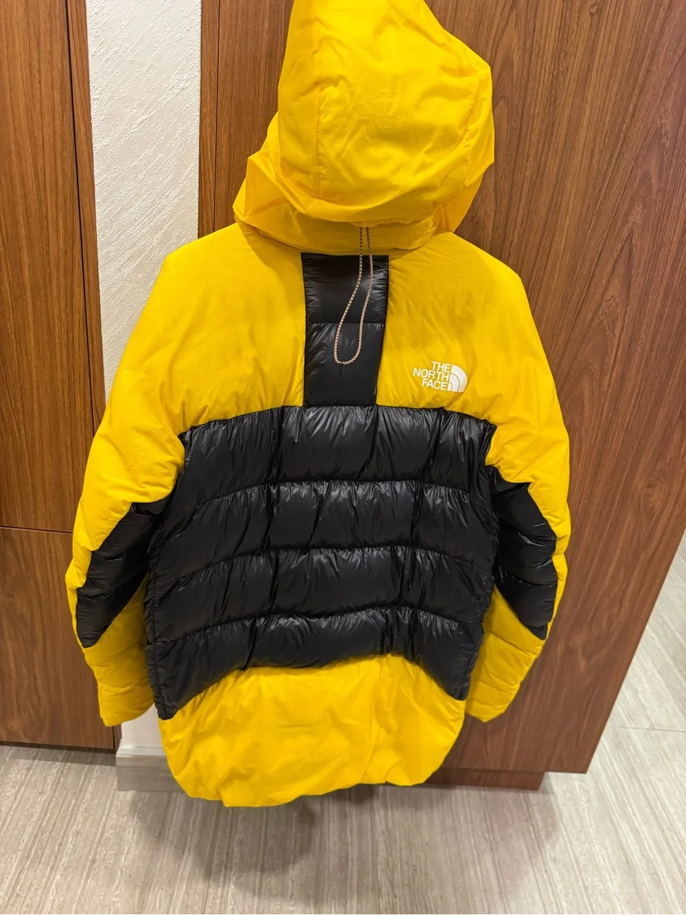 The North Face Antarctica 🇦🇶 L6 expedition jacket Limited Edition